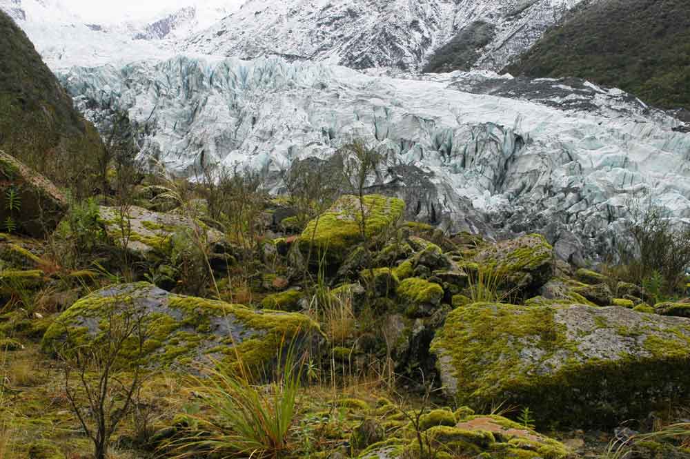 Nueva Zelanda - glaciar Fox