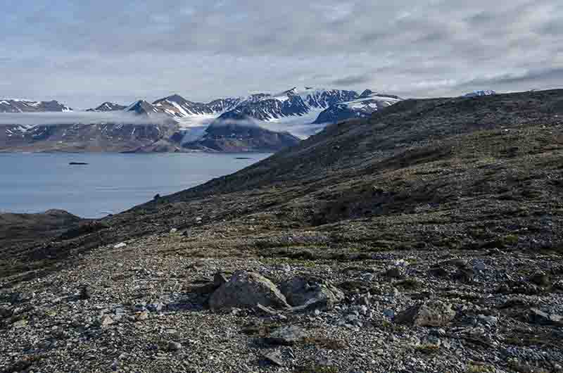 Islas Svalbard - isla de Spitsbergen - fiordo Liefdefjord - Andoyane